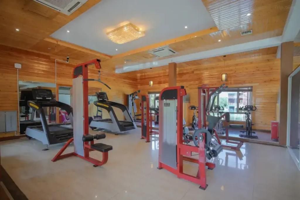 A gym with treadmills, weight machines, and a mirrored wall.