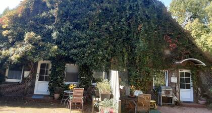 Vacation apartment surrounded by deciduous forest and pasture