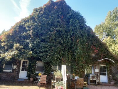 Vacation apartment surrounded by deciduous forest and pasture