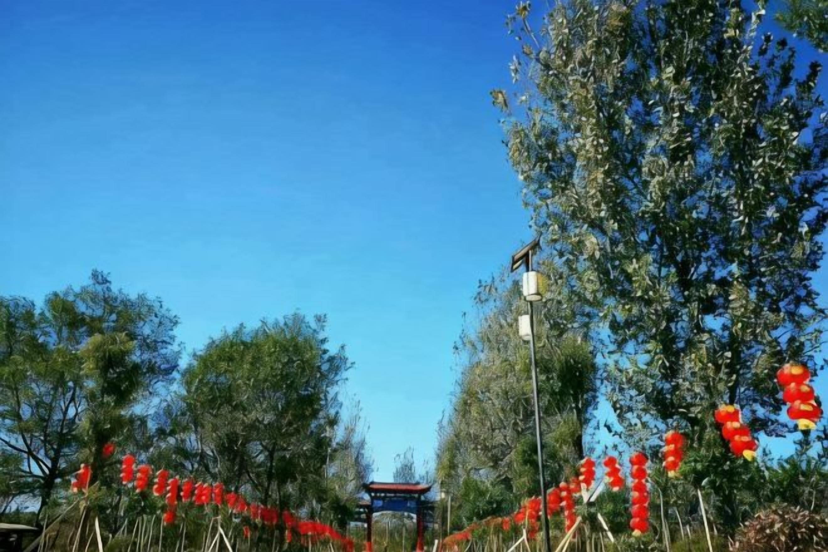 A pathway lined with red lanterns leading to a traditional structure.