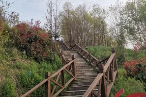 A wooden staircase leading uphill with railings, surrounded by greenery and trees. - Lamangu Resort Hotel (Wugang)