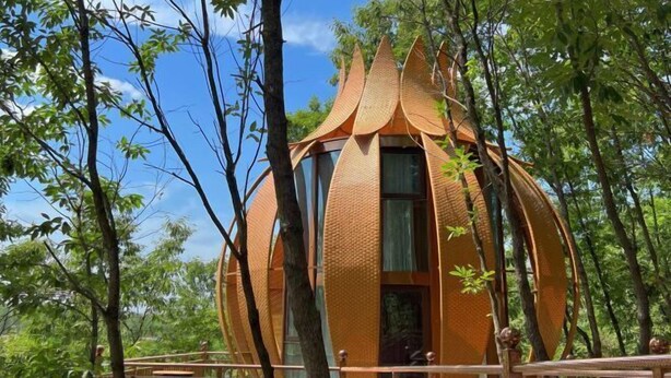 A spherical treehouse with a textured exterior, surrounded by trees and a wooden deck. - Lamangu Resort Hotel (Wugang)