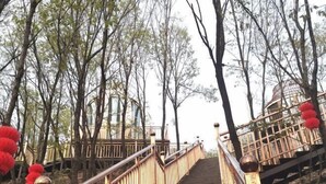 A wooden staircase with metal railings leading up a hill, surrounded by trees. - Lamangu Resort Hotel (Wugang)