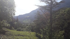 Eine natürliche Landschaft mit einem Berg im Hintergrund, dichtem Grün und blauem Himmel.