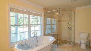 Combined shower/bathtub, hair dryer, towels, soap