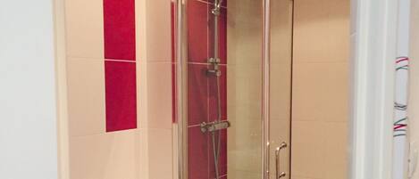 A bathroom with a glass-enclosed shower, a white toilet, and red tiles on the wall.