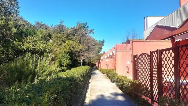Un sendero bordeado por abundante vegetación y edificios rojos, bajo un cielo azul despejado.