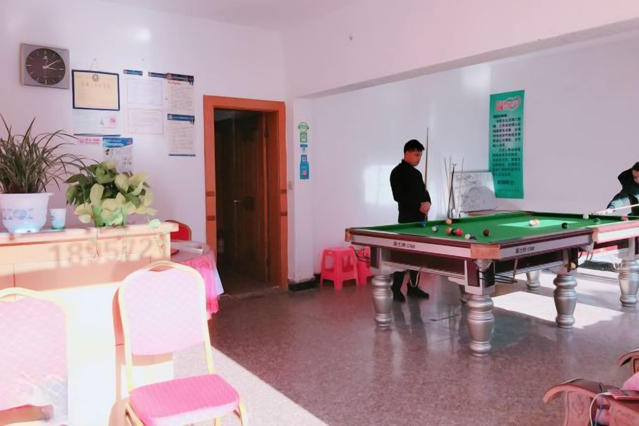 A room with a pool table, chairs, a potted plant, and a door.