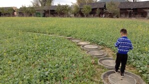 A child walking through a field with raised circular beds, surrounded by traditional buildings with sloped roofs. - Green Island Hotel (Daxin)