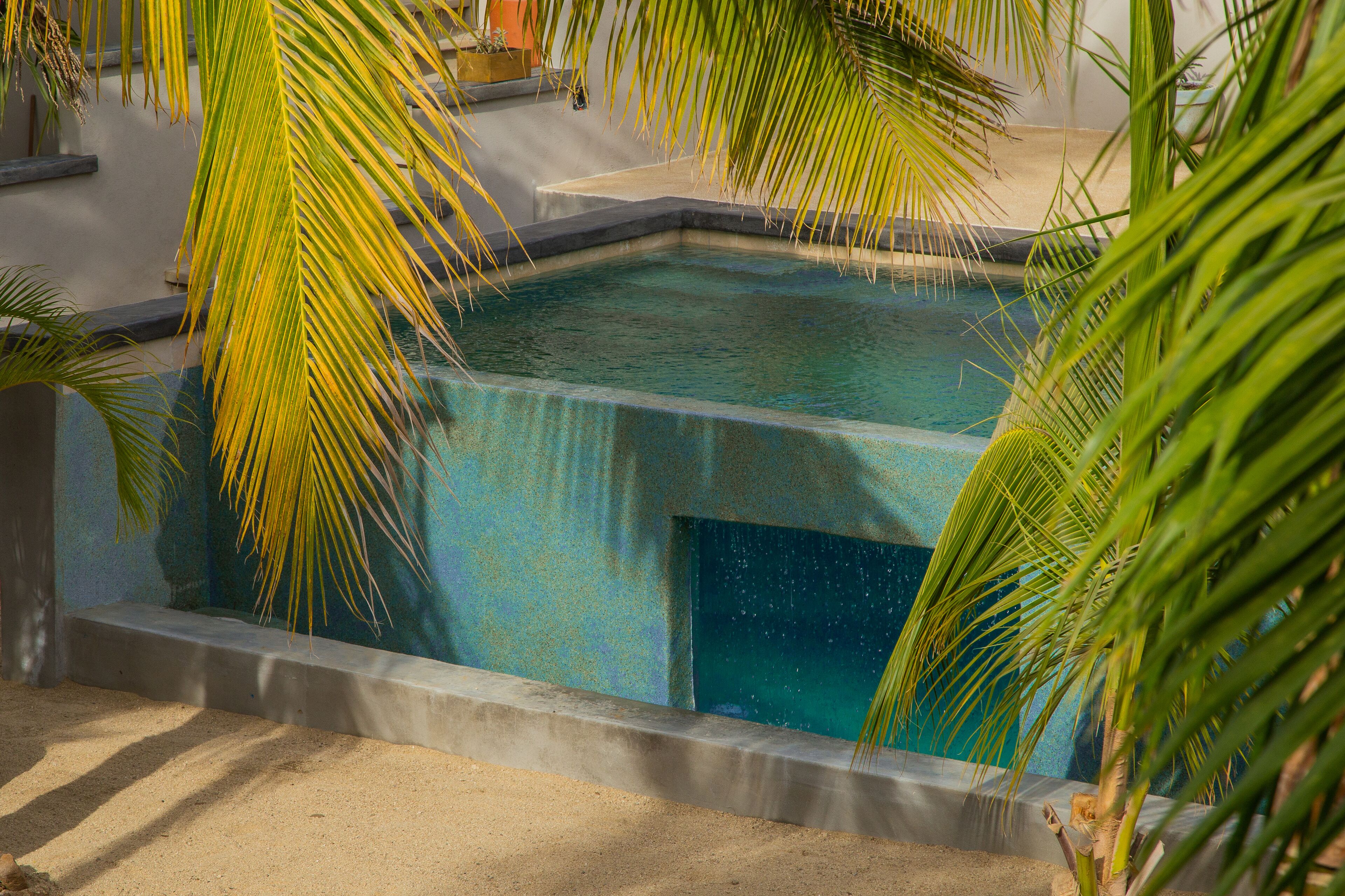 Una piscina rectangular de agua cristalina, rodeada por un borde de hormigón y palmeras.