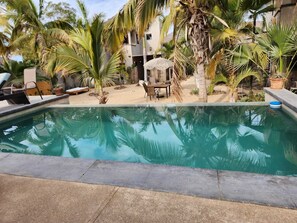 A swimming pool with clear water, surrounded by palm trees and lounge chairs.