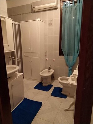 Shower, hair dryer, bidet, towels