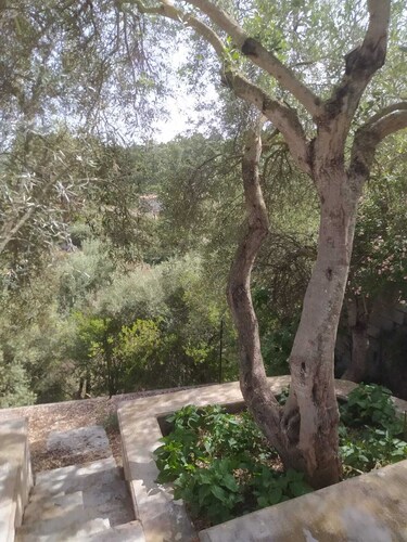 Olea House located in the countryside and close to everything you want.