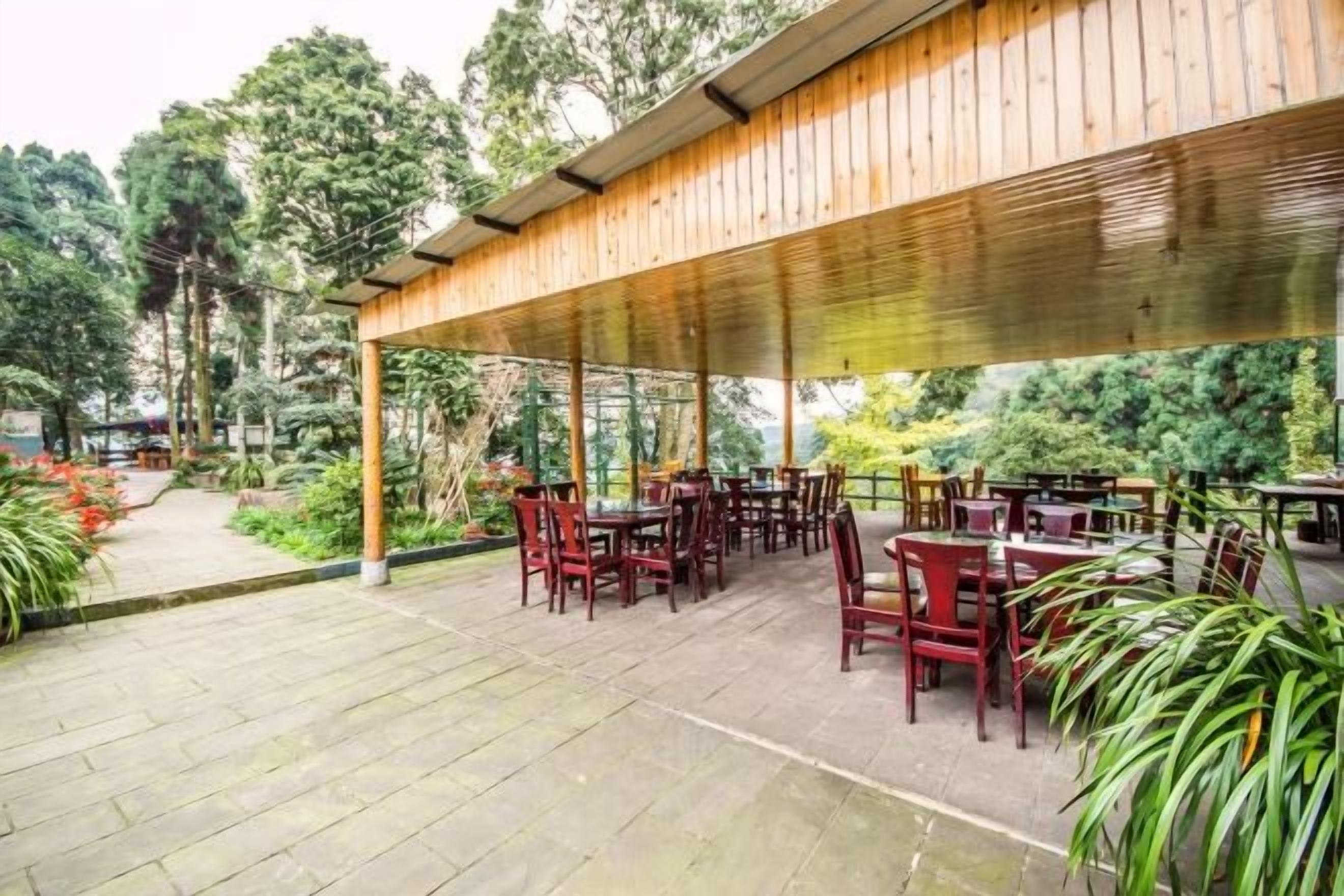 Une terrasse extérieure couverte, aménagée avec des tables et des chaises, et entourée de verdure.