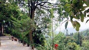 A pathway lined with potted plants and trees, leading to a scenic overlook. - Mingxiuya Leisure Villa (Emeishan City)