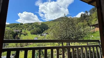 高级双人房或双床房, 山景 | 山景