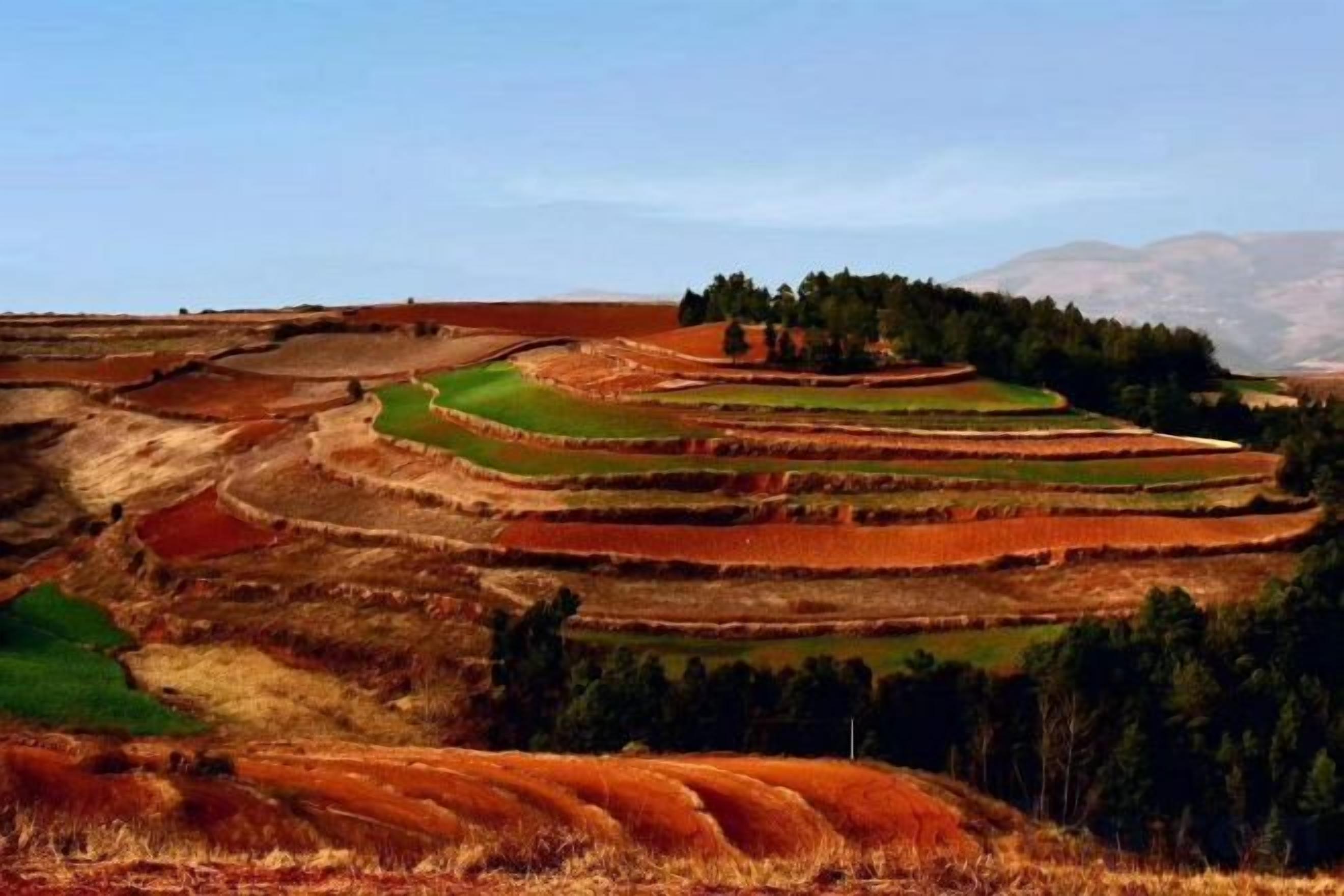Terraced fields with a clear sky.