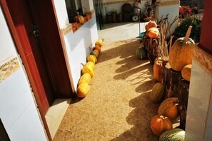 A corridor lined with pumpkins and gourds, leading to a door. - Kunming Red Earth Summer Homestay (Kunming)