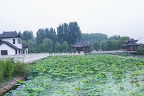 Property grounds - Dongjiang Holiday Hotel (Danyang)