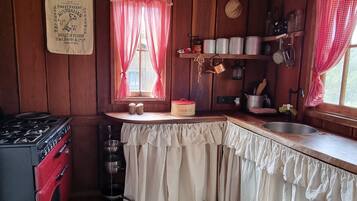 Fridge, oven, stovetop, electric kettle