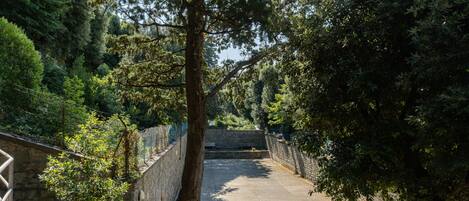 Une ruelle étroite, avec une voiture garée sur le côté droit, bordée de murs de pierre et entourée d’une végétation dense.