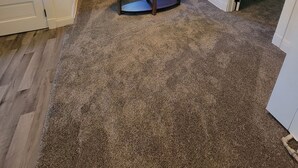 A room with a ceiling fan, a black leather sofa, a small table, and a carpeted floor. - The Lakeside Micro Apartment (Muskegon)