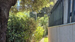 A narrow pathway flanked by dense foliage and a concrete wall. - self-contained 60m2 apartment in private grounds (Aubagne)