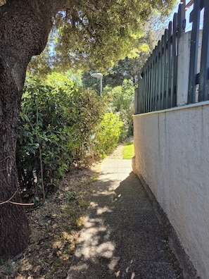 Un étroit sentier bordé d’une végétation dense et d’un mur en béton.
