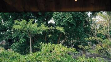 A view of a lush garden with dense foliage and a wooden structure overhead.