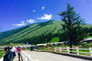 Miscellaneous - Burqin Kanas Butterfly Villa (Burqin)