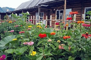Garden - Burqin Kanas Butterfly Villa (Burqin)