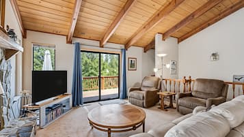 TV, fireplace, DVD player, books