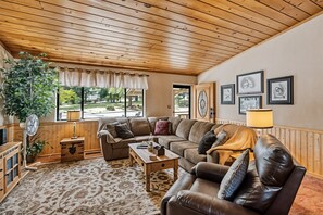 电视、壁炉、DVD 播放器