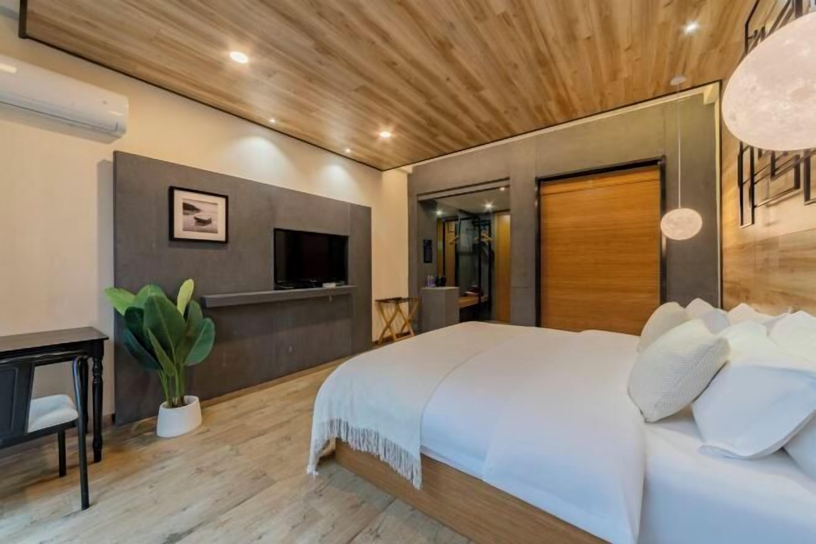 A modern bedroom with a bed, a TV, a desk, and a potted plant.