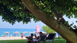 A beach scene with a tree providing shade, a grassy area, and beach chairs and umbrellas in the background.