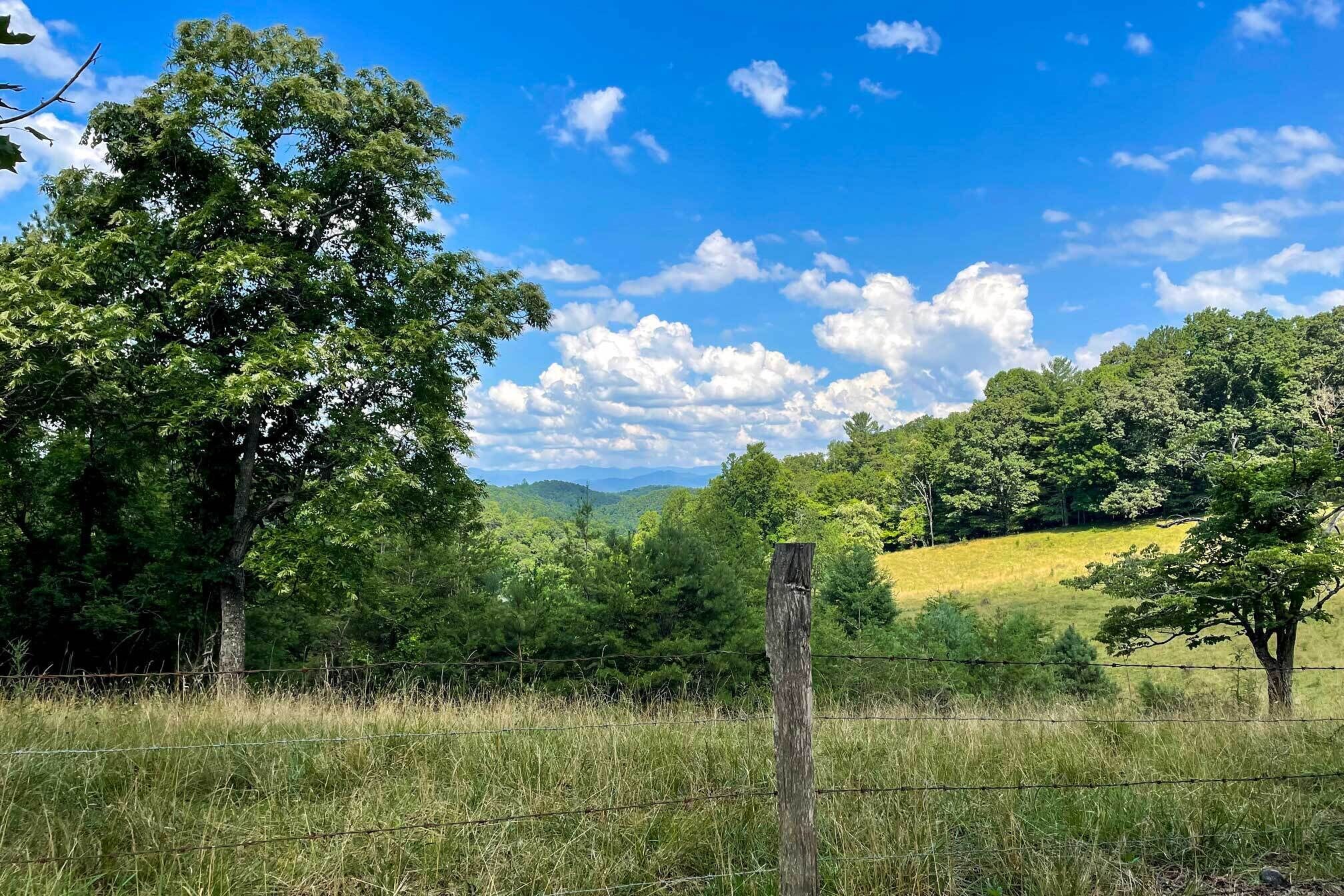 Ein grasbewachsenes Feld mit Holzfence und Bäumen.