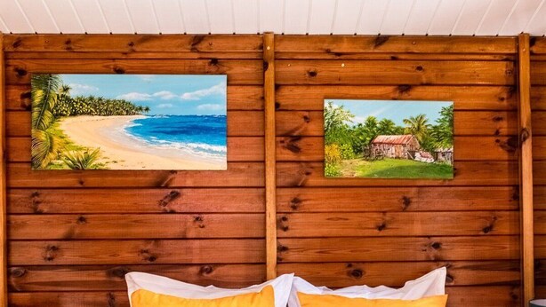 Ein holzgetäfelter Raum im Chalet-Stil mit zwei Betten, bunten Kissen und zwei Bildern an der Wand.