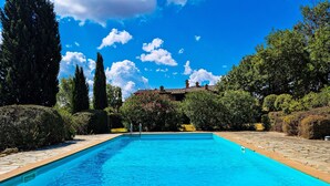 Una piscina rectangular con agua azul cristalina, rodeada de senderos de piedra y abundante vegetación.