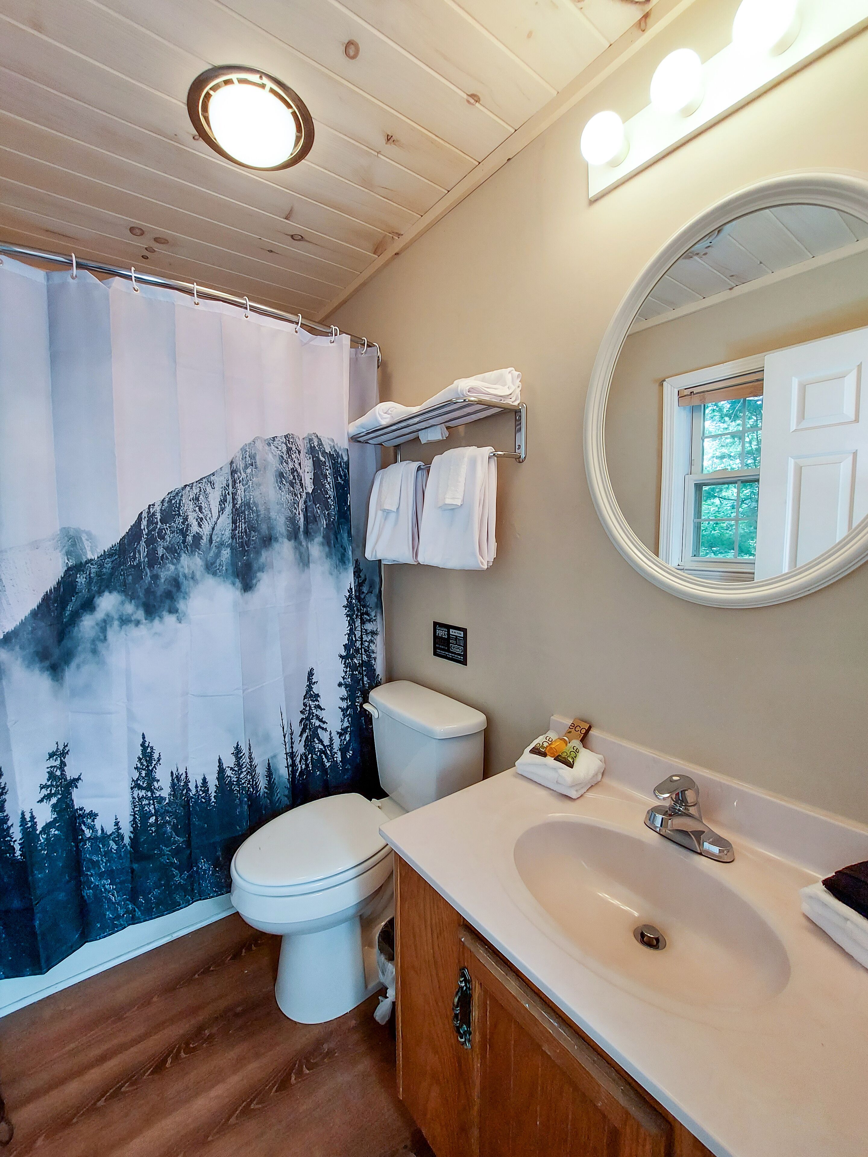 A bathroom with a mountain-themed shower curtain, a toilet, a sink with a mirror, and a towel rack.