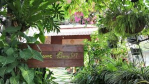 Une porte en bois, agrémentée d’une enseigne, entourée d’une végétation luxuriante et de plantes en pot.
