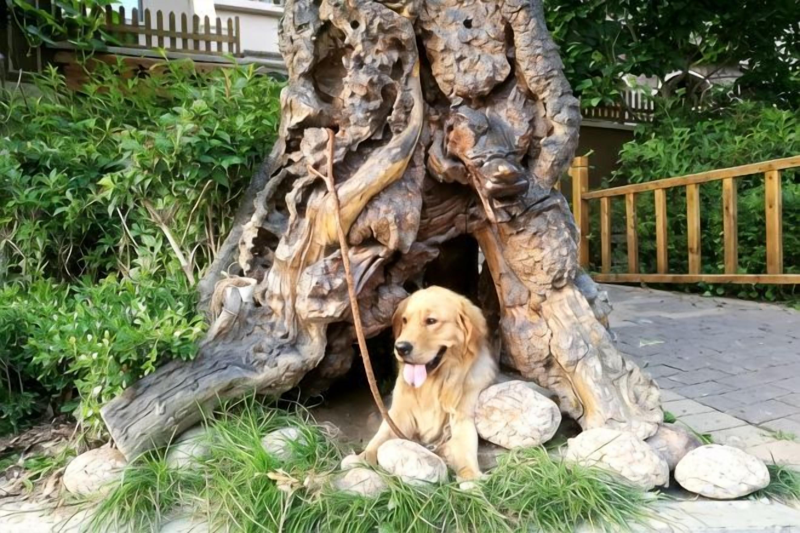 A dog sitting in front of a large, naturalistic tree sculpture with rocks around it.