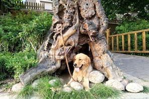 A golden retriever sitting in a tree-like structure surrounded by rocks and grass. - Pulu Inn (Dalian)