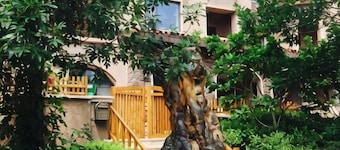 Pulu Inn