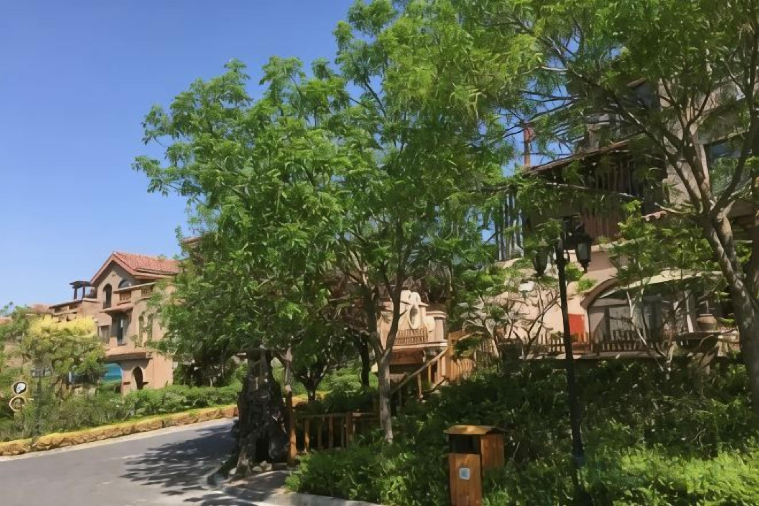 Eine Wohnstraße mit Häusern, Bäumen und blauem Himmel.