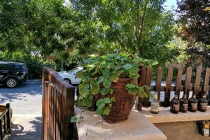 Una cerca de madera, una planta grande en maceta y un banco con botellas.