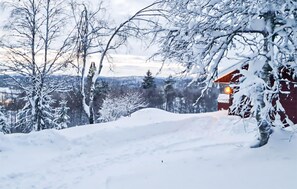 Property grounds - Pet friendly home in Evje with WiFi (Evje)