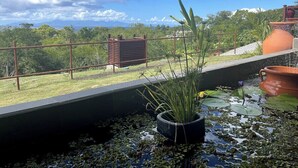A rooftop garden with a water feature, potted plants, and a view of the surrounding landscape.