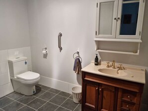 Shower, towels, soap, toilet paper