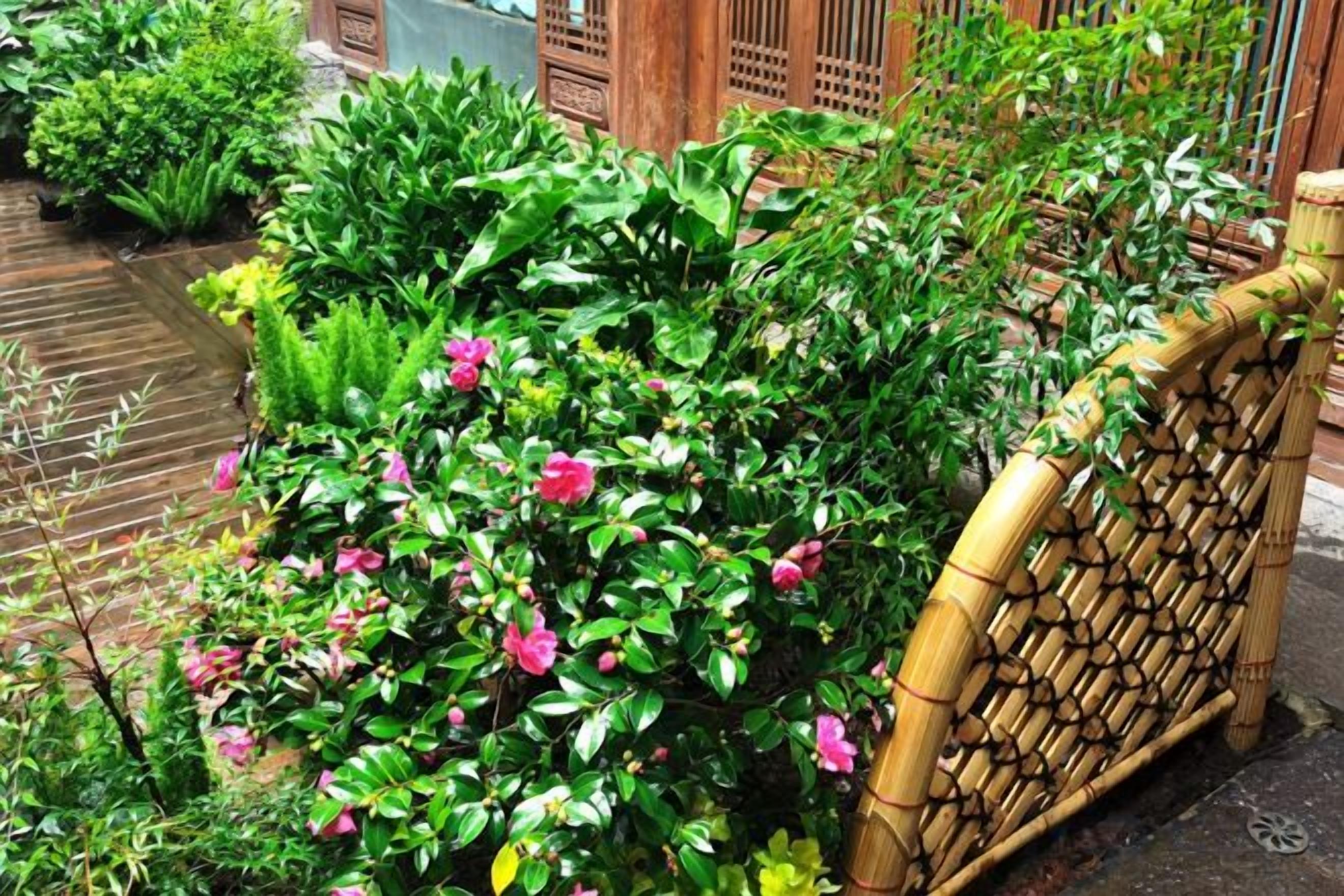 A garden with various plants and a bamboo fence.