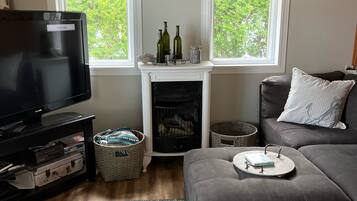 Télévision, cheminée, livres, vidéothÚque